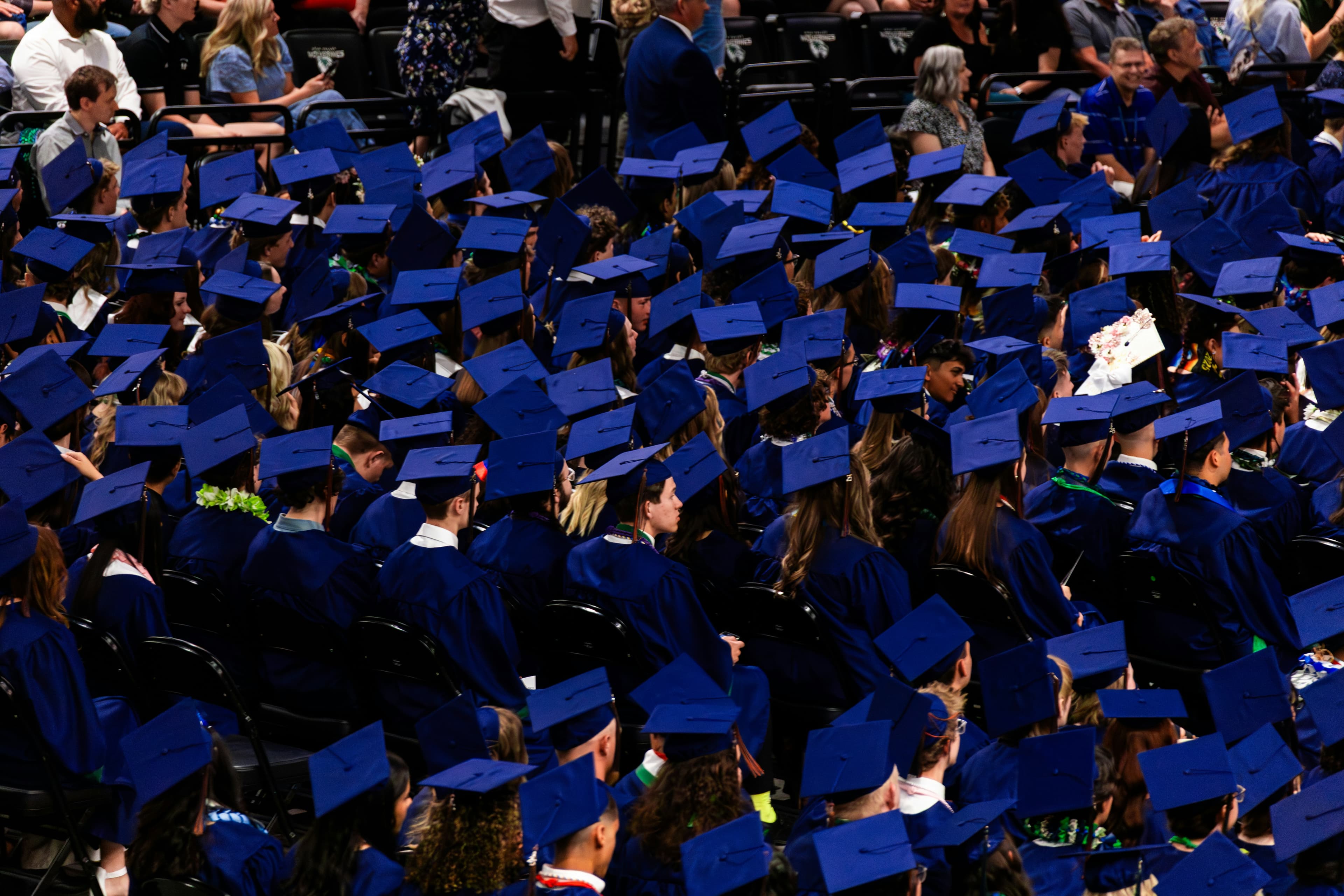 Rows of university graduates wearing blue caps and gowns at a graduation ceremony.
